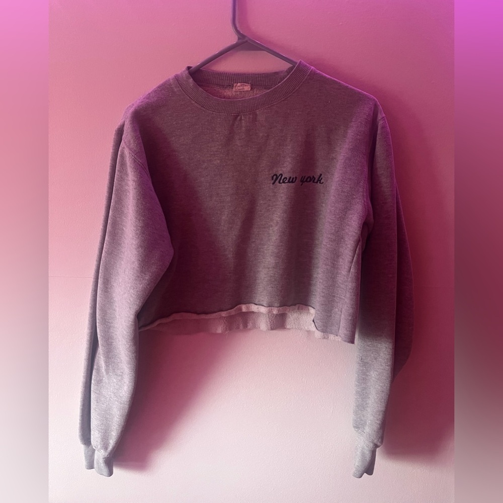John Galt/Brandy Melville “New York” Grey Cropped Sweater Long Sleeve